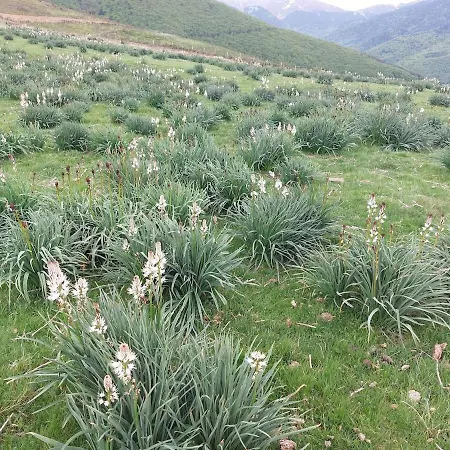 Maison De Montagne Avec Jardin Privatif * Sarrancolin